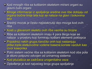 Kod mnogih riba sa koštanim skeletom mirisni organi su
glavni čulni organi
Mnoge informacije iz spoljašnje sredine ove ribe dobijaju od
organa bočne linije tela koji se nalaze na glavi i bokovima
tela
Srednji mozak je često najistaknutiji deo mozga kod ovih
riba
Kosti u glavenom skeletu ovih riba veoma su brojne
Ribe sa koštanim skeletom imaju 4 para škrga koje se
nalaze u prostoru koji formiraju koštani elementi poklopca
Pripadnici nekih grupa,naročito onih koji nastanjuju
plitke,tople,slatkovodne vodene basene,koriste vazduh kao
izvor kiseonika
Polni sistem većine riba sa koštanim skeletom kod oba pola
je skoro potpuno odvojen od urinarnog sistema
Kod plućašica se zadržava urogenitalna veza
Oplođenje je kod najvećeg broja grupa spoljašnje
 