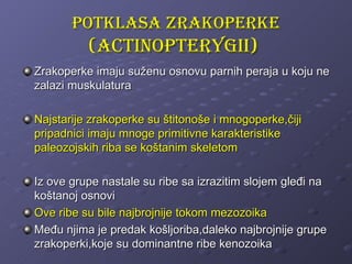 potKlasa zRaKopeRKe
          (actinopteRygii)
Zrakoperke imaju suženu osnovu parnih peraja u koju ne
zalazi muskulatura

Najstarije zrakoperke su štitonoše i mnogoperke,čiji
pripadnici imaju mnoge primitivne karakteristike
paleozojskih riba se koštanim skeletom

Iz ove grupe nastale su ribe sa izrazitim slojem gleđi na
koštanoj osnovi
Ove ribe su bile najbrojnije tokom mezozoika
Među njima je predak košljoriba,daleko najbrojnije grupe
zrakoperki,koje su dominantne ribe kenozoika
 
