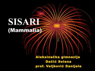 SISARI
(Mammalia)



        Aleksinačka gimnazija
               Dačić Selena
        pr of. Veljković Danijela
 