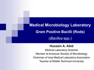 Medical Microbiology Laboratory
Gram Positive Bacilli (Rods)
(Bacillus spp.)
Hussein A. Abid
Medical Laboratory Scientist
Member at American Society of Microbiology
Chairman of Iraqi Medical Laboratory Association
Teacher at Middle Technical University
 