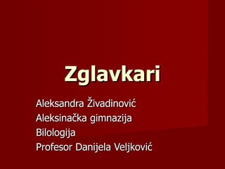 Zglavkari
Aleksandra Živadinović
Aleksinačka gimnazija
Bilologija
Profesor Danijela Veljković
 