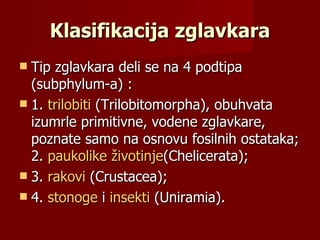 Klasifikacija zglavkara
 Tip zglavkara deli se na 4 podtipa
  (subphylum-a) :
 1. trilobiti (Trilobitomorpha), obuhvata
  izumrle primitivne, vodene zglavkare,
  poznate samo na osnovu fosilnih ostataka;
  2. paukolike životinje(Chelicerata);
 3. rakovi (Crustacea);
 4. stonoge i insekti (Uniramia).
 