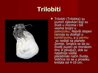 Trilobiti
        Trilobiti (Trilobita) su
         izumrli zglavkari koji su
         živeli u morima i bili
         veoma brojni u
         paleozoiku. Najviši stepen
         razvoja su dostigli u
         kambrijumu, a u permu
          su nestali sa planete
         Zemlje. Smatra se da su
         živele puzeći po morskom
         dnu ili plivajući, dok su
         najsitnije vodile
         planktinski način života.
         Veličina im se u proseku
         kretala od 4-10 cm.
 