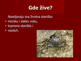 Gde žive?
    Naseljavaju sva životna staništa:
   morsku i slatku vodu,
   kopnena staništa i
   vazduh.
 