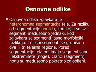 Osnovne odlike
   Osnovna odlika zglavkara je
    heteronomna segmentacija tela. Za razliku
    od segmentacije anelida, kod kojih su svi
    segmenti međusobno jednaki, kod
    zglavkara se segmenti jasno morfološki
    razlikuju. Telesni segmenti se grupišu u
    dva ili tri telesna regiona. Pored
    segmentacije tela oni imaju segmentisane
    i ekstremitete (noge). Članci (segmenti)
    nogu su međusobno pokretno zglobljeni.
 