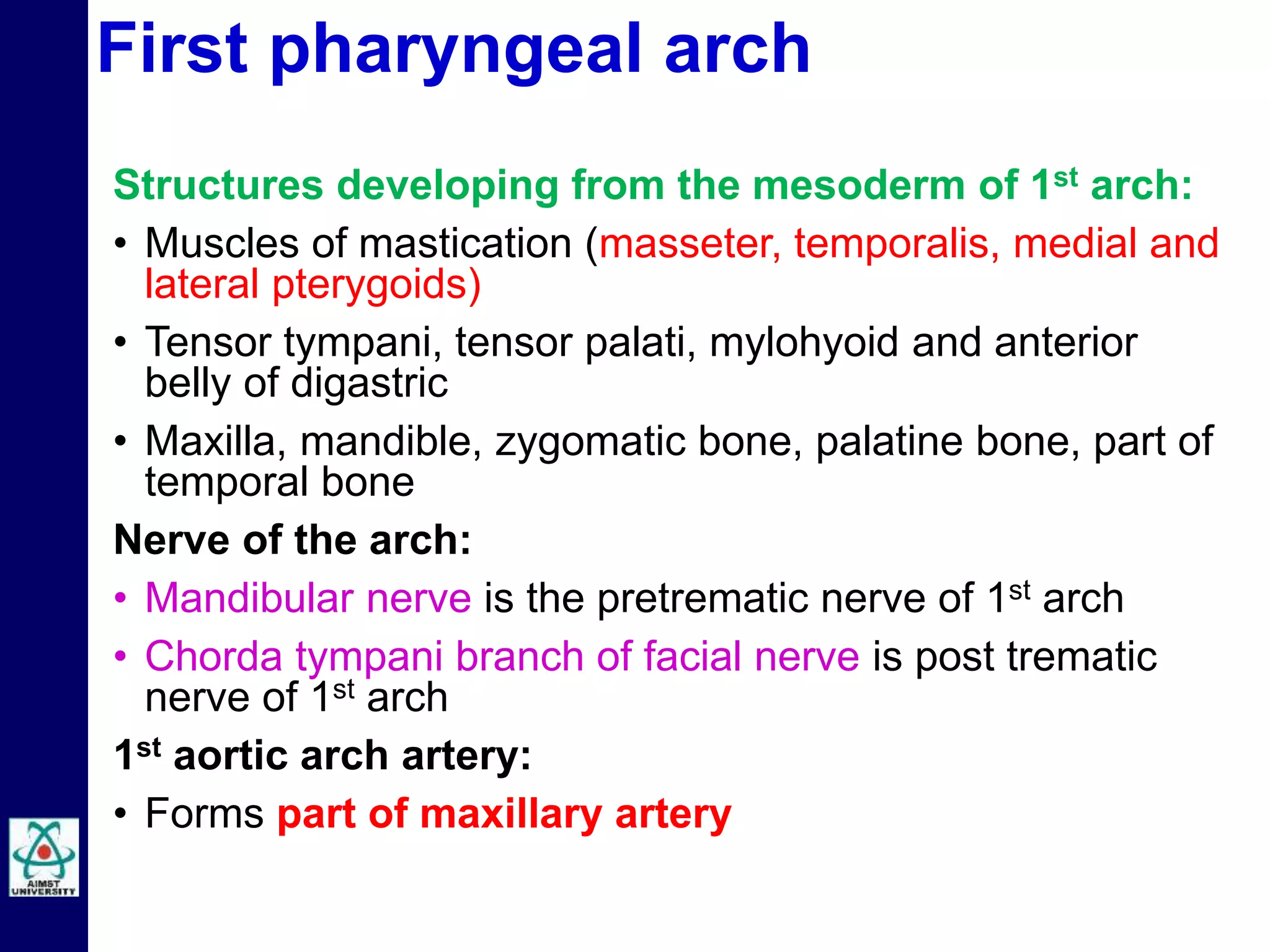 Embryology of Pharyngeal Arches by Dr Niazur Rahman | PPTX