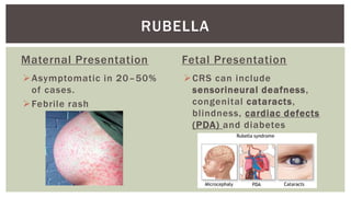L29 Perinatal Infections part 1 | PPTX