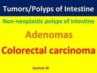 Tumors/Polyps of Intestine
Non-neoplastic polyps of intestine
Adenomas
Colorectal carcinoma
Lecture 16
 