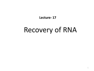 Recovery of RNA
1
Lecture- 17
 