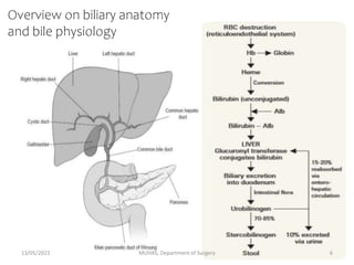 Overview on biliary anatomy
and bile physiology
13/05/2023 MUHAS, Department of Surgery 6
 