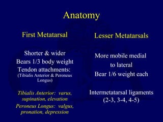 Anatomy
First Metatarsal
Shorter & wider
Bears 1/3 body weight
Tendon attachments:
(Tibialis Anterior & Peroneus
Longus)
Tibialis Anterior: varus,
supination, elevation
Peroneus Longus: valgus,
pronation, depression
Lesser Metatarsals
More mobile medial
to lateral
Bear 1/6 weight each
Intermetatarsal ligaments
(2-3, 3-4, 4-5)
 