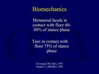 Biomechanics
Metatarsal heads in
contact with floor 60-
80% of stance phase
Toes in contact with
floor 75% of stance
phase
Cavanagh, PR, F&A, 1987
Hughes, J, JBJS[Br], 1990
 