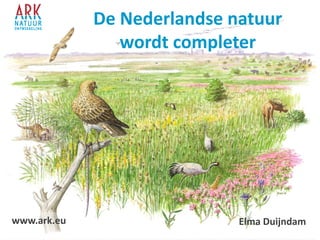 De Nederlandse natuur
wordt completer
Elma Duijndamwww.ark.eu
 