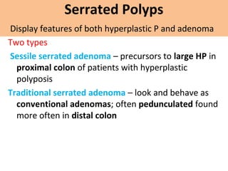 L17 neoplastic polyps | PPT