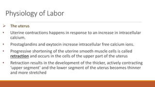 Physiology of Labor
 The uterus
• Uterine contractions happens in response to an increase in intracellular
calcium.
• Prostaglandins and oxytocin increase intracellular free calcium ions.
• Progressive shortening of the uterine smooth muscle cells is called
retraction and occurs in the cells of the upper part of the uterus
• Retraction results in the development of the thicker, actively contracting
‘upper segment’ and the lower segment of the uterus becomes thinner
and more stretched
 