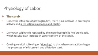 Physiology of Labor
 The cervix
• Under the influence of prostaglandins, there is an increase in proteolytic
activity and a reduction in collagen and elastin.
• Dermatan sulphate is replaced by the more hydrophilic hyaluronic acid,
which results in an increase in water content of the cervix.
• Causing cervical softening or ‘ripening’, so that when contractions begin
the processes of effacement and dilatation start.
 