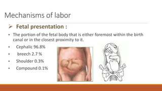 Mechanisms of labor
 Fetal presentation :
• The portion of the fetal body that is either foremost within the birth
canal or in the closest proximity to it.
• Cephalic 96.8%
• breech 2.7 %
• Shoulder 0.3%
• Compound 0.1%
 
