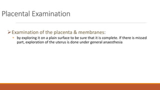 Placental Examination
Examination of the placenta & membranes:
• by exploring it on a plain surface to be sure that it is complete. If there is missed
part, exploration of the uterus is done under general anaesthesia.
 