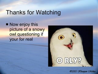 Thanks for Watching Now enjoy this picture of a snowy owl questioning if your for real 