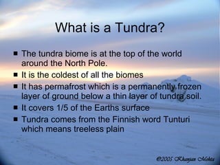What is a Tundra? The tundra biome is at the top of the world around the North Pole. It is the coldest of all the biomes It has permafrost which is a permanently frozen layer of ground below a thin layer of tundra soil. It covers 1/5 of the Earths surface Tundra comes from the Finnish word Tunturi which means treeless plain 