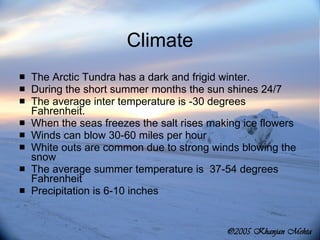 Climate The Arctic Tundra has a dark and frigid winter. During the short summer months the sun shines 24/7  The average inter temperature is -30 degrees Fahrenheit.  When the seas freezes the salt rises making ice flowers Winds can blow 30-60 miles per hour White outs are common due to strong winds blowing the snow The average summer temperature is  37-54 degrees Fahrenheit Precipitation is 6-10 inches  