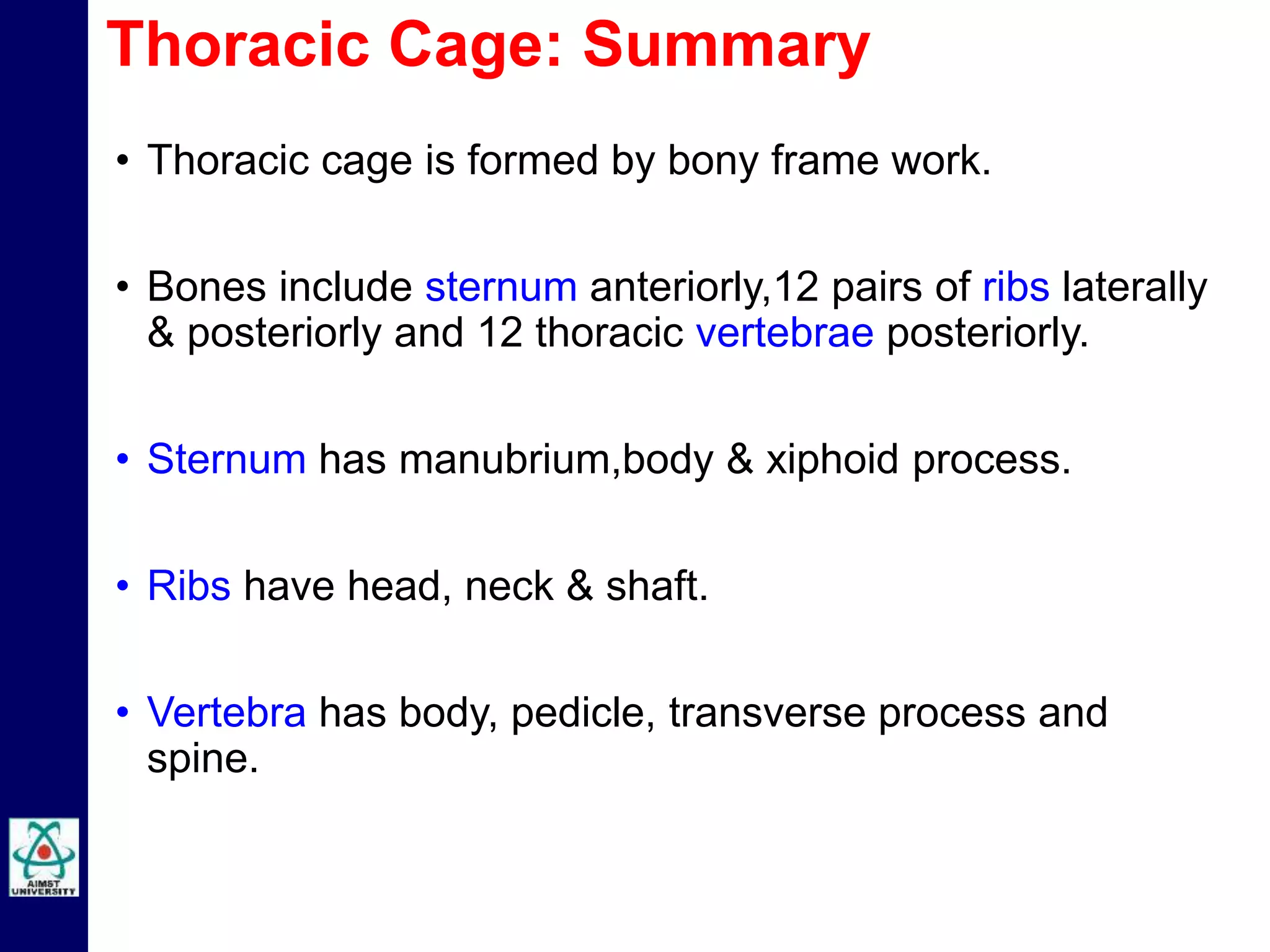 • Thoracic cage is formed by bony frame work.
• Bones include sternum anteriorly,12 pairs of ribs laterally
& posteriorly and 12 thoracic vertebrae posteriorly.
• Sternum has manubrium,body & xiphoid process.
• Ribs have head, neck & shaft.
• Vertebra has body, pedicle, transverse process and
spine.
Thoracic Cage: Summary
 