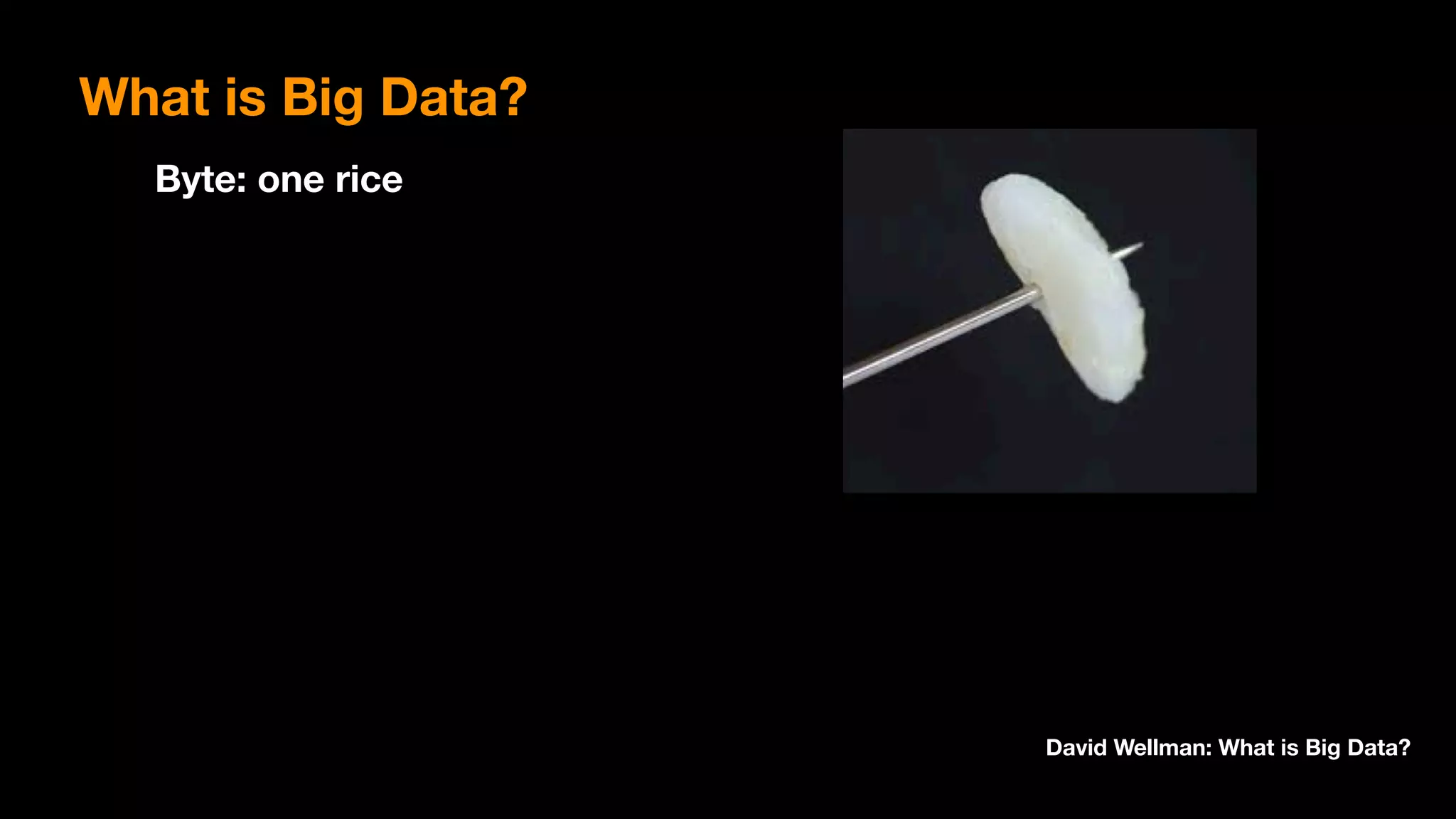 Byte: one rice
David Wellman: What is Big Data?
What is Big Data?
 