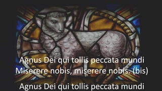 Agnus Dei qui tollis peccata mundi
Miserere nobis, miserere nobis. (bis)
Agnus Dei qui tollis peccata mundi
 