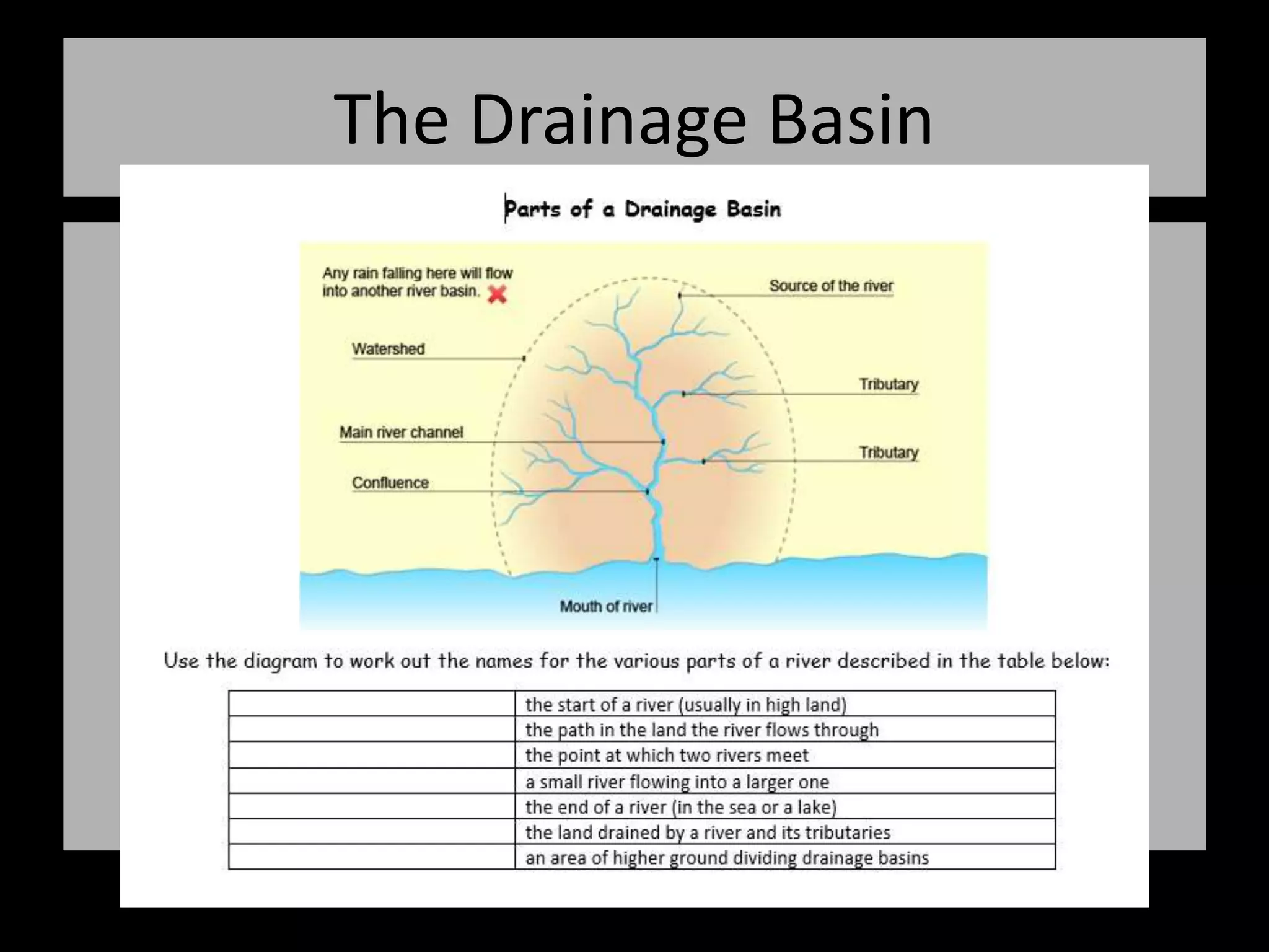 The Drainage Basin
 
