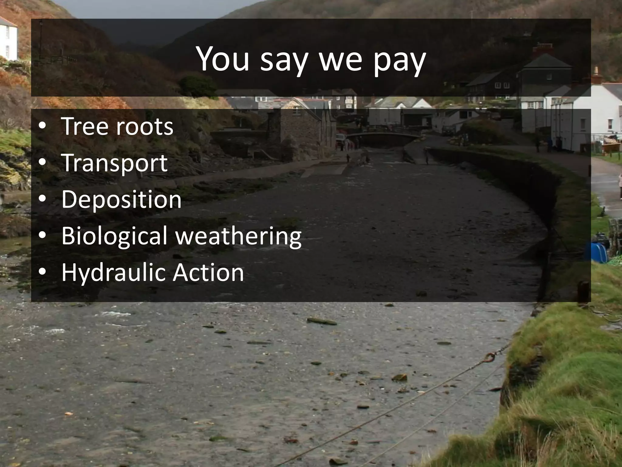 You say we pay
• Tree roots
• Transport
• Deposition
• Biological weathering
• Hydraulic Action
 