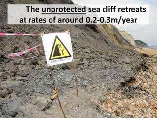 The unprotected sea cliff retreats
at rates of around 0.2-0.3m/year
 