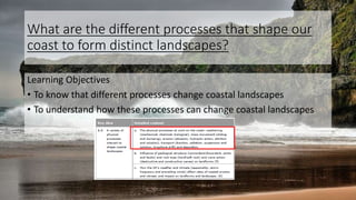 What are the different processes that shape our
coast to form distinct landscapes?
Learning Objectives
• To know that different processes change coastal landscapes
• To understand how these processes can change coastal landscapes
 