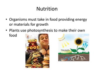 L1 b1 biology gcse | PPTX