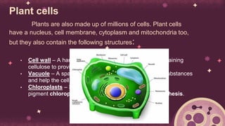 Cell and Molecular Biology. Modern cell Theory, parts of a cell | PDF