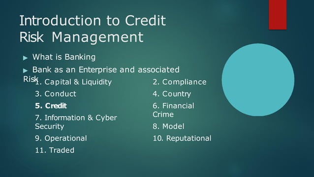 Credit Risk Management lecture notes presentation | PPTX