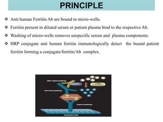 Anti human Ferritin Ab are bound to micro-wells.
 Ferritin present in diluted serum or patient plasma bind to the respective Ab.
 Washing of micro-wells removes unspecific serum and plasma components.
 HRP conjugate anti human ferritin immunologically detect the bound patient
ferritin forming a conjugate/ferritin/Ab complex.
PRINCIPLE
 