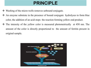  Washing of the micro-wells removes unbound conjugate.
 An enzyme substrate in the presence of bound conjugate hydrolyses to form blue
color, the addition of an acid stops the reaction forming yellow end product.
 The intensity of the yellow color is measured photometrically at 450 nm. The
amount of the color is directly proportional to the amount of ferritin present in
original sample.
PRINCIPLE
 