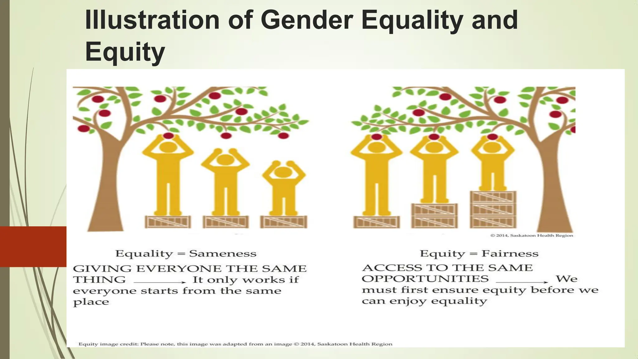 Illustration of Gender Equality and
Equity
 