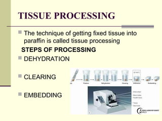 L 1 Histopathology intro.ppt hau dekho aik | PPT