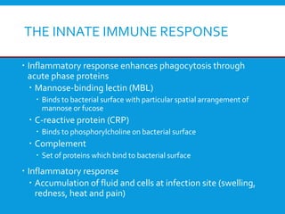 L1 Immunology.pdf