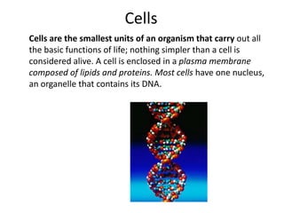 Cells	Cells are the smallest units of an organism that carry out all the basic functions of life; nothing simpler than a cell is considered alive. A cell is enclosed in a plasma membrane composed of lipids and proteins. Most cells have one nucleus, an organelle that contains its DNA.
