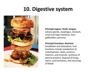 10. Digestive systemPrincipal organs: Teeth, tongue,salivary glands, esophagus, stomach,small and large intestines, liver,gallbladder, pancreasPrincipal functions: Nutrientbreakdown and absorption; liverfunctions include metabolism ofcarbohydrates, lipids, proteins,vitamins, and minerals, synthesis ofplasma proteins, disposal of drugs,toxins, and hormones, and cleansingof blood