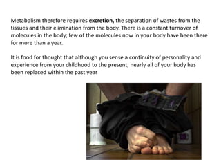 Metabolism therefore requires excretion, theseparation of wastes from the tissues and their elimination from the body. There is a constant turnover of molecules in the body; few of the molecules now in your body have been there for more than a year. It is food for thought that although you sense a continuity of personality and experience from your childhood to the present, nearly all of your body has been replaced within the past year