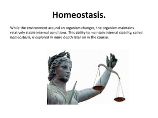 Homeostasis. While the environment around an organism changes, the organism maintains relatively stable internal conditions. This ability to maintain internal stability, called homeostasis, is explored in more depth later on in the course.