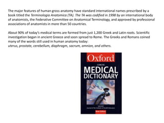 The major features of human gross anatomy have standard international names prescribed by a book titled the TerminologiaAnatomica (TA). The TA was codified in 1998 by an international body of anatomists, the Federative Committee on Anatomical Terminology, and approved by professionalassociations of anatomists in more than 50 countries.About 90% of today’s medical terms are formed from just 1,200 Greek and Latin roots. Scientific investigation began in ancient Greece and soon spread to Rome. The Greeks and Romans coined many of the words still used in human anatomy today: uterus, prostate, cerebellum, diaphragm, sacrum, amnion, and others.