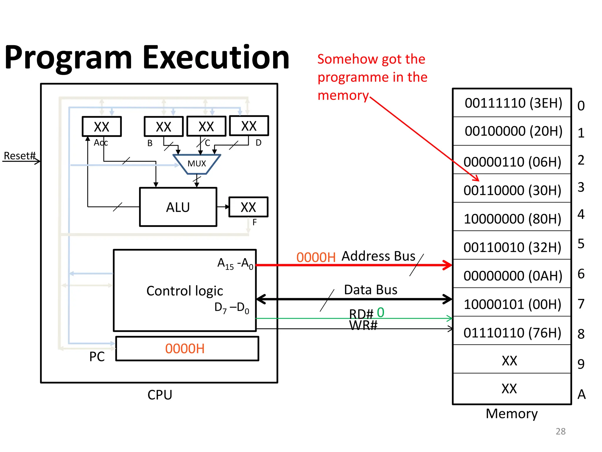 28
PC
0000H
Control logic
ALU
XX
Acc
XX
XX XX
B C D
MUX
XX
F
Reset#
Latch
Memory
Data Bus
Address Bus
A15 -A0
D7 –D0
0
1
2
3
4
5
6
7
8
9
A
CPU
00111110 (3EH)
00100000 (20H)
00000110 (06H)
00110000 (30H)
10000000 (80H)
00110010 (32H)
00000000 (0AH)
10000101 (00H)
01110110 (76H)
XX
XX
Somehow got the
programme in the
memory
RD#
WR#
0000H
0
Program Execution
 