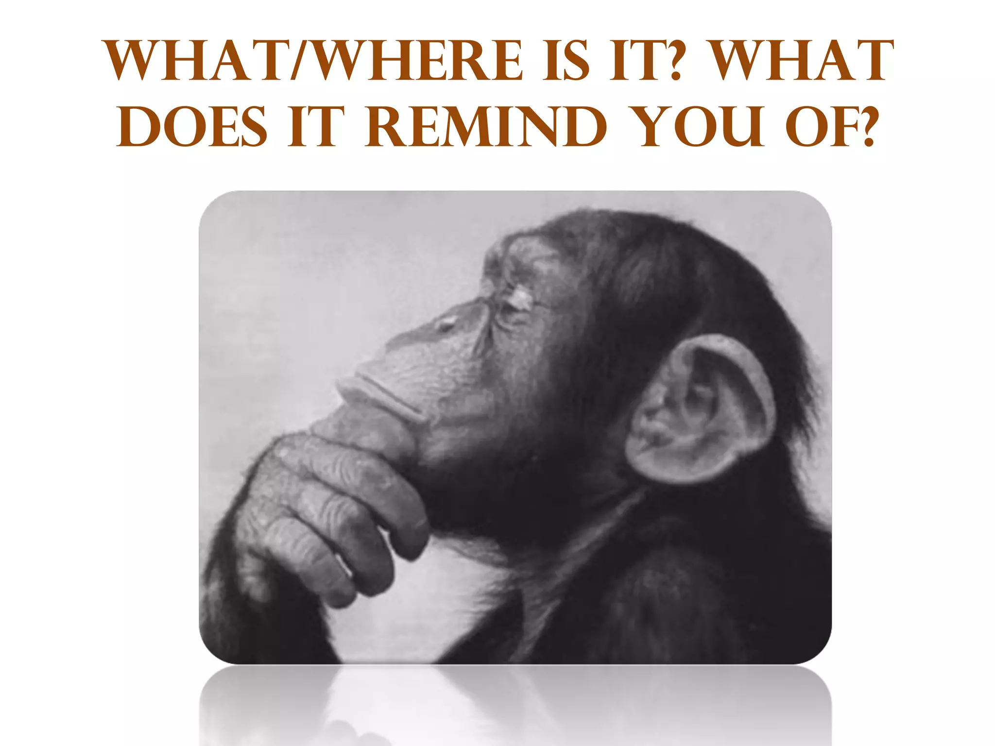 What/where is it? What does it remind you of? 