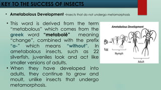 Lesson 1_introduction to arthropods.pptx