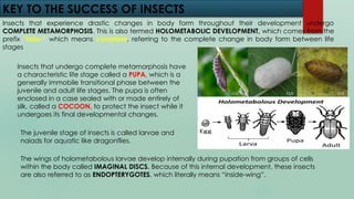Insect Development Phase Lesson 1_introduction to arthropods.pptx