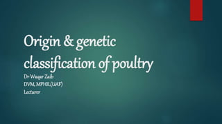 Origin & genetic
classification of poultry
Dr WaqarZaib
DVM,MPHIL(UAF)
Lecturer
 